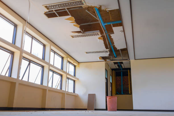 Best Emergency water damage restoration  in Hackberry, TX