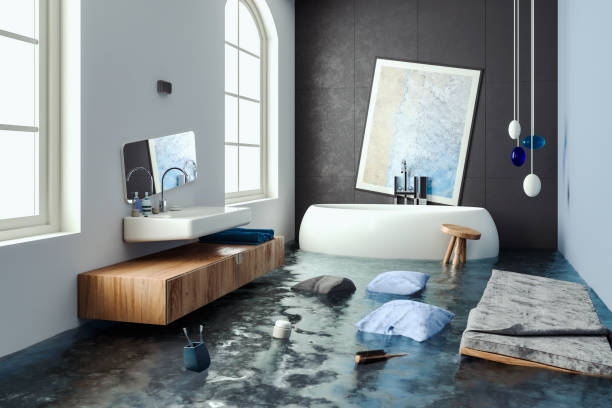 Best Flood restoration services  in Hackberry, TX