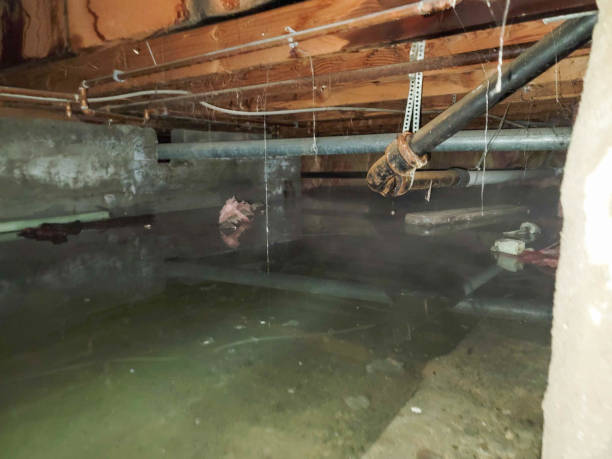 Hackberry, TX Water damage restoration Pros