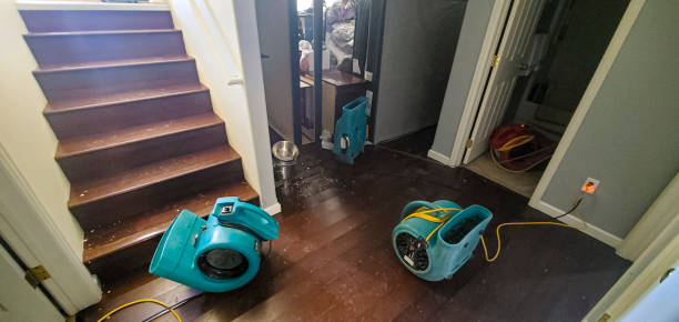 Best Professional water damage repair  in Hackberry, TX