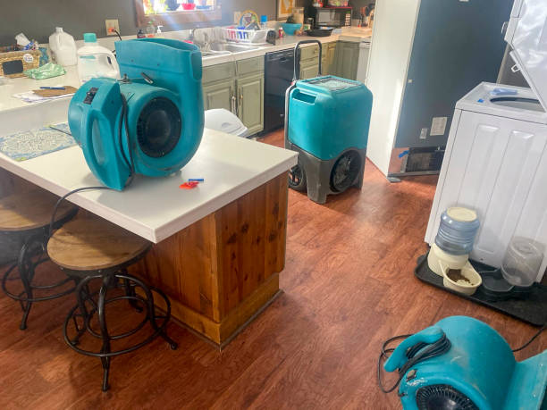 Best Ceiling water damage repair  in Hackberry, TX