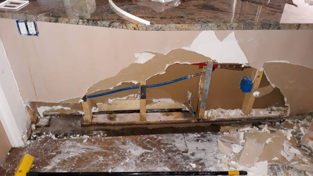 Best Flood damage cleanup  in Hackberry, TX