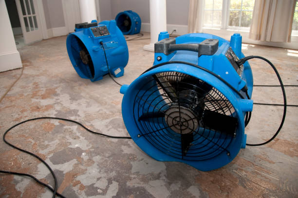 Best Water damage restoration insurance claims  in Hackberry, TX