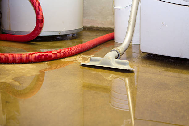 Best Mold removal after water damage  in Hackberry, TX