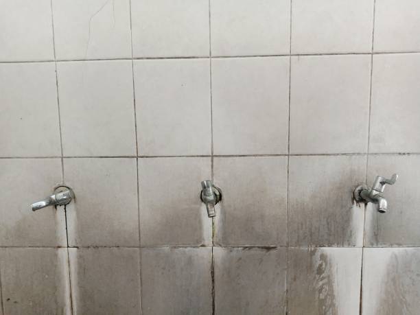 Best Water damage restoration services  in Hackberry, TX